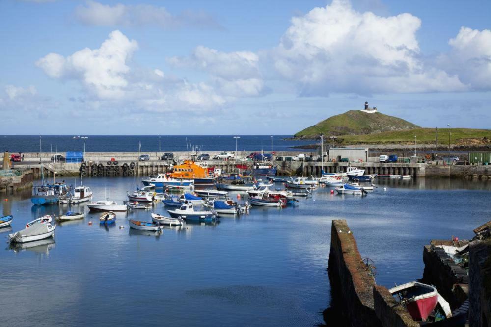 Shanagarry / Ballycotton Glamping Pod Cork Dış mekan fotoğraf